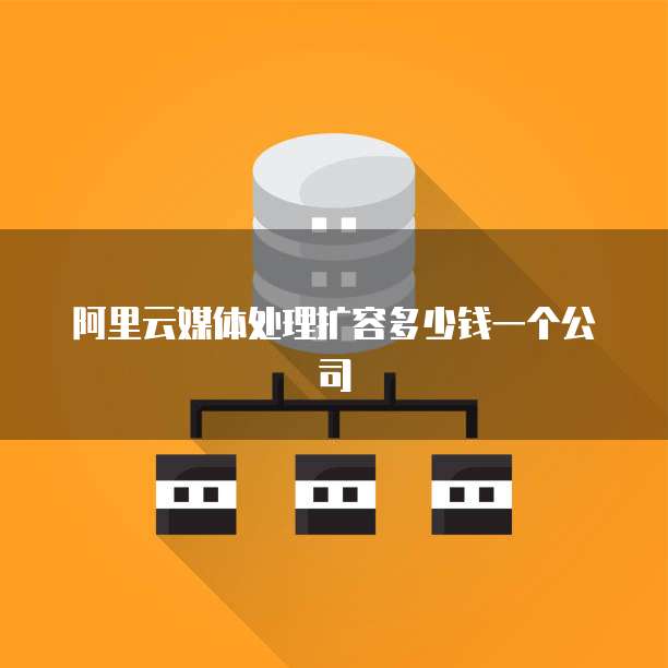 阿里云媒体处理扩容多少钱一个公司