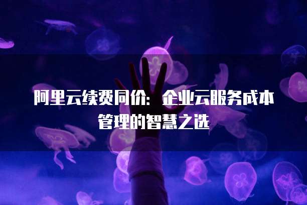 阿里云续费同价:企业云服务成本管理的智慧之选