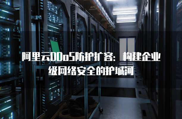 阿里云DDoS防护扩容:构建企业级网络安全的护城河
