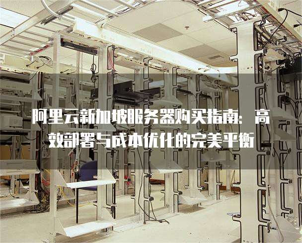 阿里云新加坡服务器购买指南:高效部署与成本优化的完美平衡