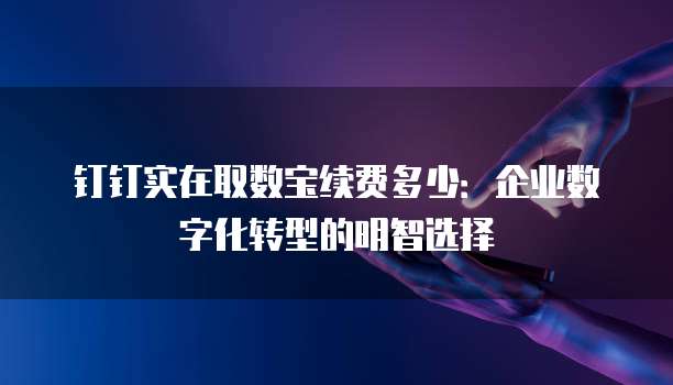 钉钉实在取数宝续费多少:企业数字化转型的明智选择