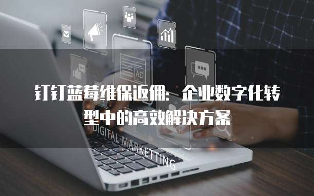 钉钉蓝莓维保返佣:企业数字化转型中的高效解决方案