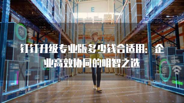 钉钉升级专业版多少钱合适用:企业高效协同的明智之选