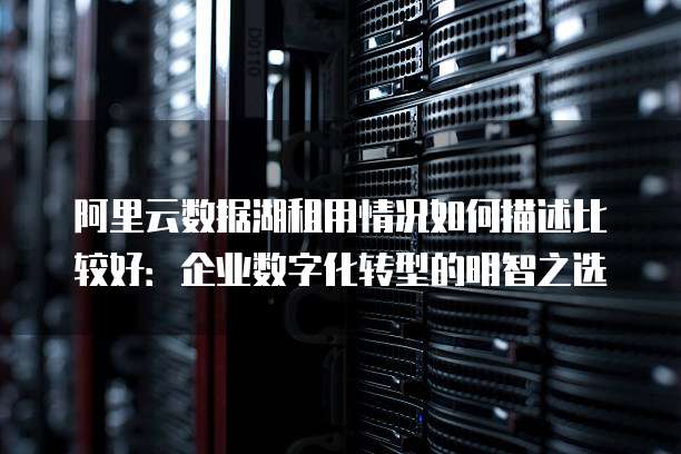 阿里云数据湖租用情况如何描述比较好:企业数字化转型的明智之选