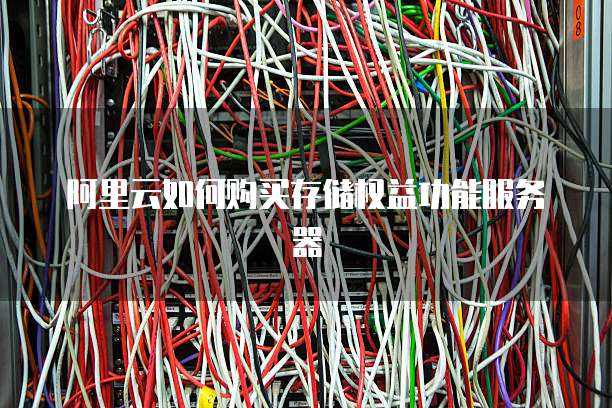 阿里云如何购买存储权益功能服务器