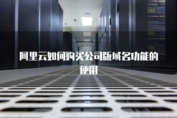 阿里云如何购买公司版域名功能的使用