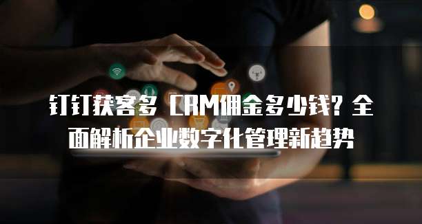 钉钉获客多 CRM佣金多少钱?全面解析企业数字化管理新趋势