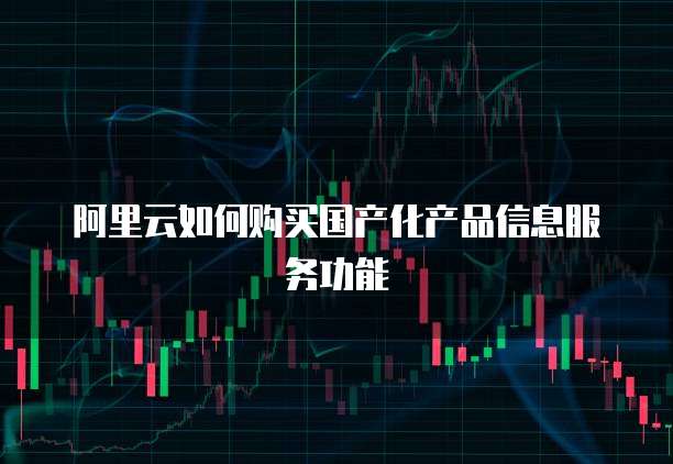 阿里云如何购买国产化产品信息服务功能