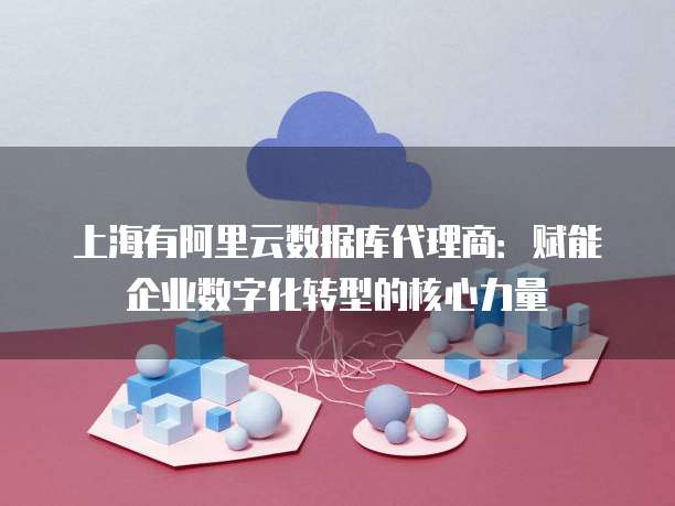 上海有阿里云数据库代理商:赋能企业数字化转型的核心力量