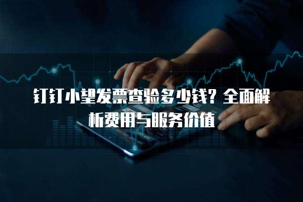 钉钉小望发票查验多少钱?全面解析费用与服务价值