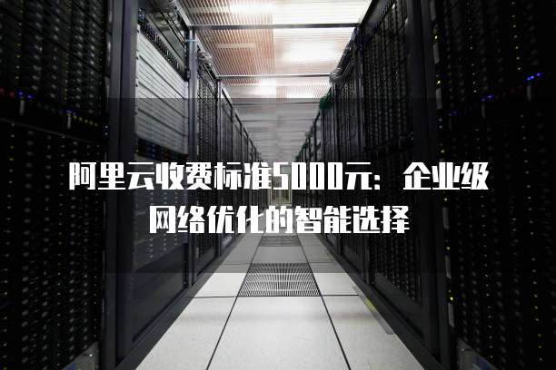 阿里云收费标准5000元:企业级网络优化的智能选择
