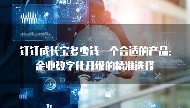 钉钉成长宝多少钱一个合适的产品:企业数字化升级的精准选择