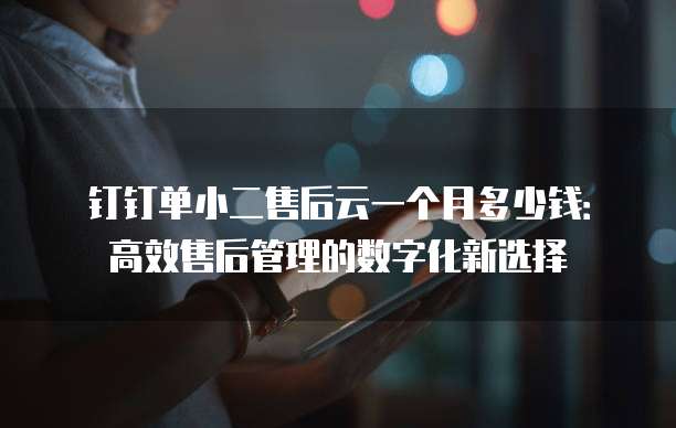 钉钉单小二售后云一个月多少钱：高效售后管理的数字化新选择
