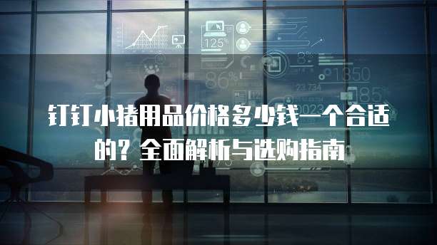 钉钉小猪用品价格多少钱一个合适的?全面解析与选购指南