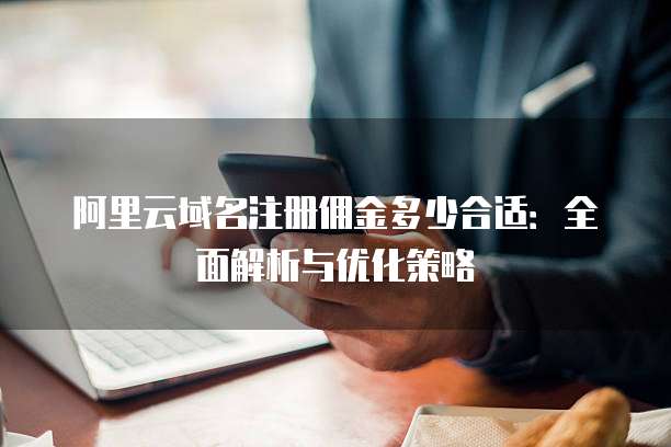 阿里云域名注册佣金多少合适:全面解析与优化策略