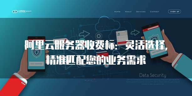 阿里云服务器收费标:灵活选择,精准匹配您的业务需求
