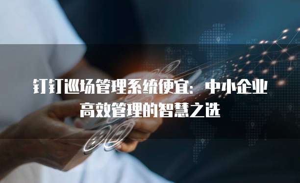 钉钉巡场管理系统便宜:中小企业高效管理的智慧之选