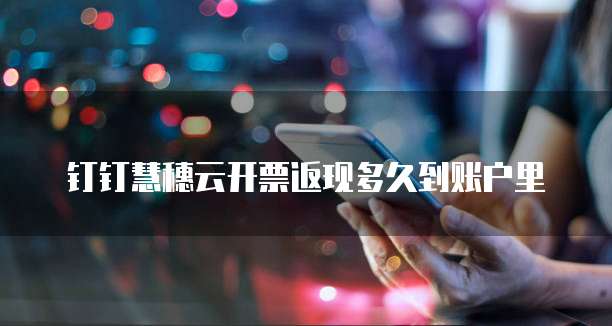 钉钉慧穗云开票返现多久到账户里