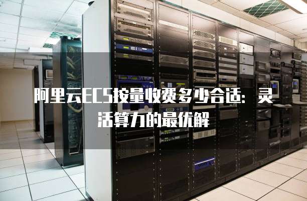 阿里云ECS按量收费多少合适:灵活算力的最优解