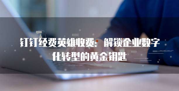 钉钉经费英雄收费:解锁企业数字化转型的黄金钥匙