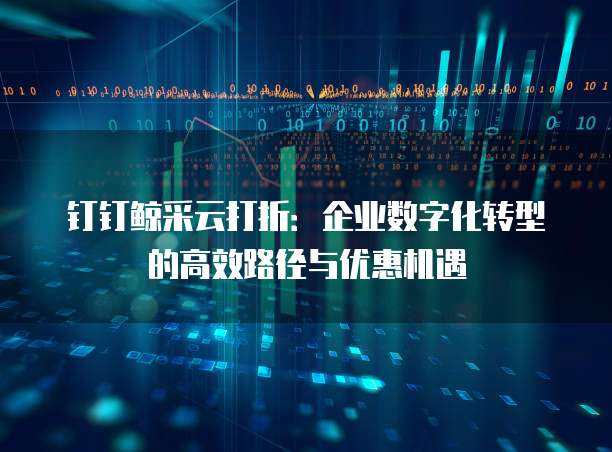 钉钉鲸采云打折:企业数字化转型的高效路径与优惠机遇