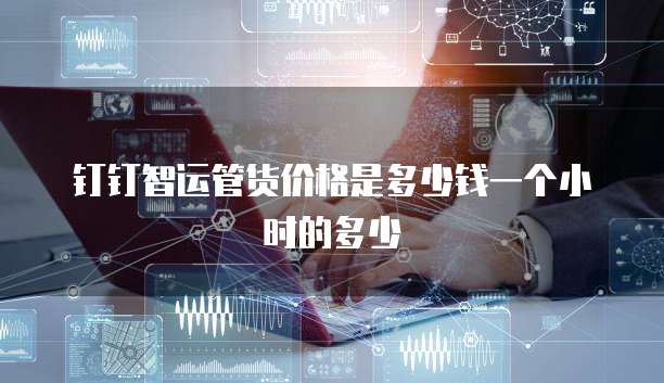 钉钉智运管货价格是多少钱一个小时的多少