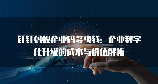 钉钉蚂蚁企业码多少钱:企业数字化升级的成本与价值解析