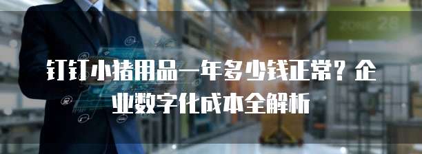 钉钉小猪用品一年多少钱正常?企业数字化成本全解析