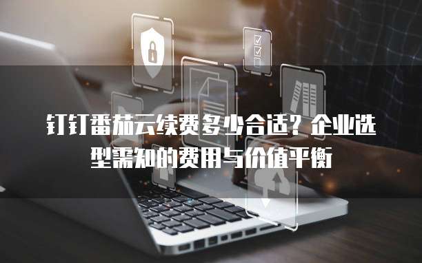 钉钉番茄云续费多少合适?企业选型需知的费用与价值平衡