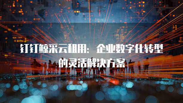 钉钉鲸采云租用:企业数字化转型的灵活解决方案