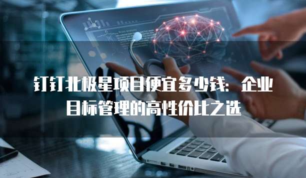 钉钉北极星项目便宜多少钱:企业目标管理的高性价比之选