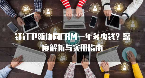 钉钉卫瓴协同CRM一年多少钱？深度解析与实用指南