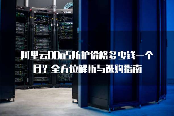 阿里云DDoS防护价格多少钱一个月？全方位解析与选购指南