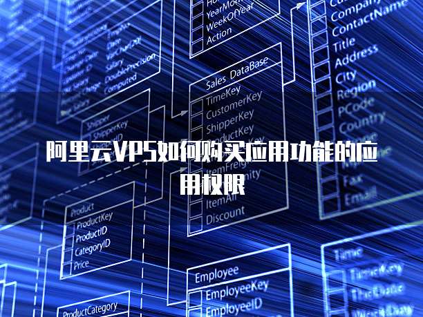 阿里云VPS如何购买应用功能的应用权限