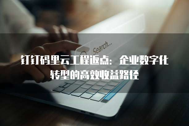 钉钉码里云工程返点:企业数字化转型的高效收益路径