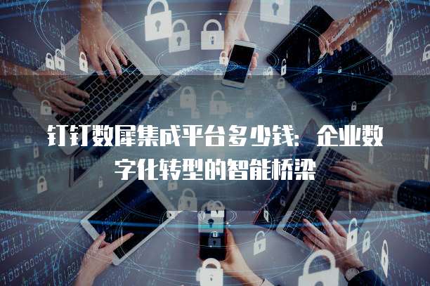 钉钉数犀集成平台多少钱:企业数字化转型的智能桥梁