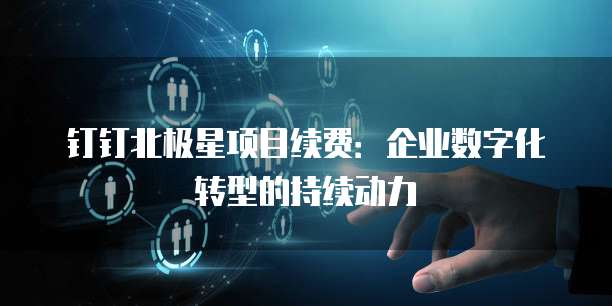 钉钉北极星项目续费：企业数字化转型的持续动力