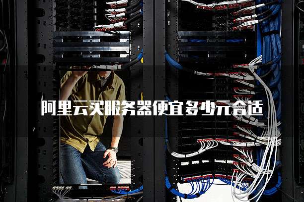 阿里云买服务器便宜多少元合适