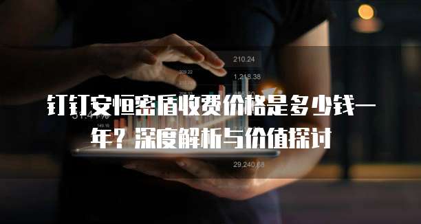 钉钉安恒密盾收费价格是多少钱一年？深度解析与价值探讨