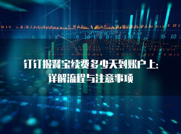 钉钉报餐宝续费多少天到账户上:详解流程与注意事项