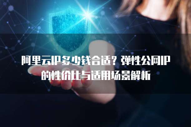 阿里云IP多少钱合适?弹性公网IP的性价比与适用场景解析