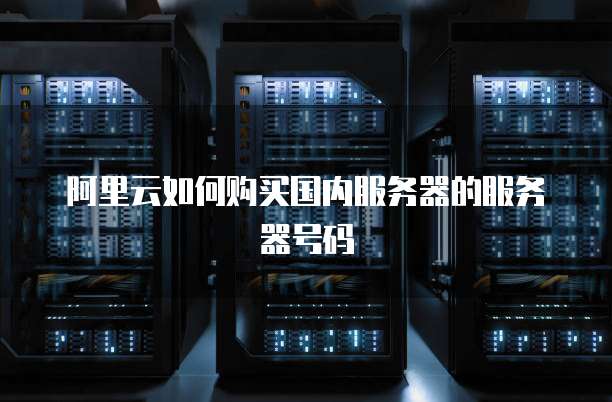 阿里云如何购买国内服务器的服务器号码