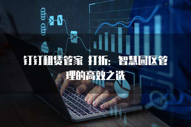 钉钉租赁管家 打折:智慧园区管理的高效之选
