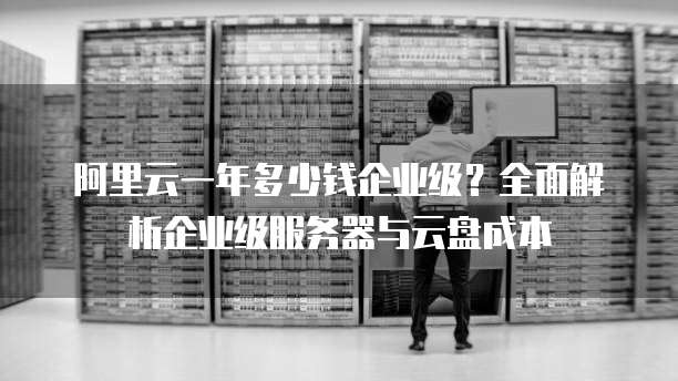 阿里云一年多少钱企业级?全面解析企业级服务器与云盘成本