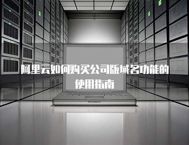 阿里云如何购买公司版域名功能的使用指南