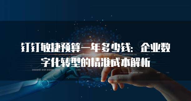 钉钉敏捷预算一年多少钱:企业数字化转型的精准成本解析