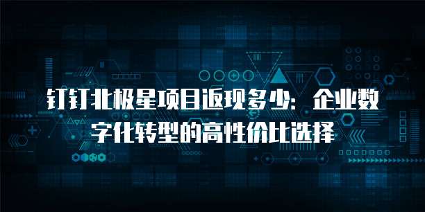 钉钉北极星项目返现多少：企业数字化转型的高性价比选择
