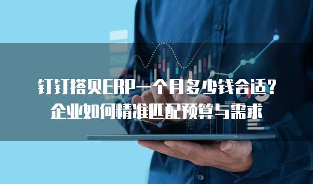 钉钉搭贝ERP一个月多少钱合适?企业如何精准匹配预算与需求
