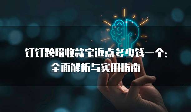 钉钉跨境收款宝返点多少钱一个:全面解析与实用指南