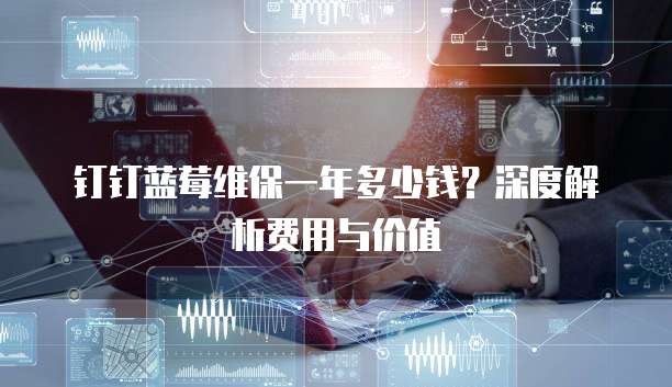 钉钉蓝莓维保一年多少钱?深度解析费用与价值